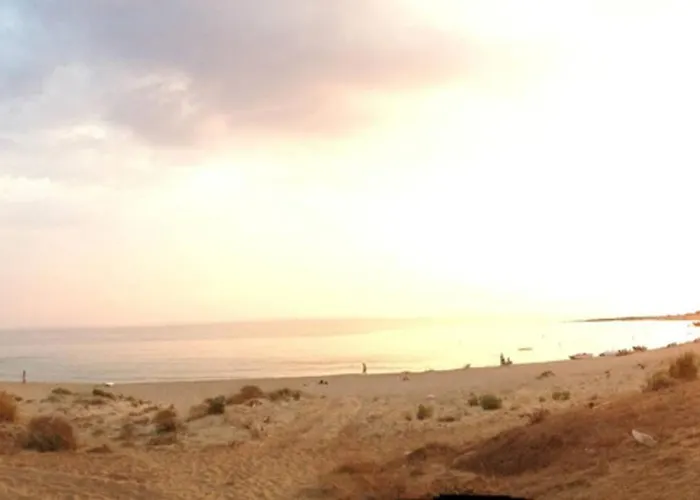 Bay * Гиалова