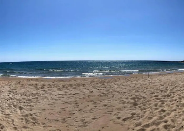 Bay * Гиалова